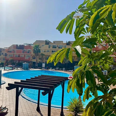 Prime Americas Getaway - With Huge Private Terrace & Pool Access Apartment *