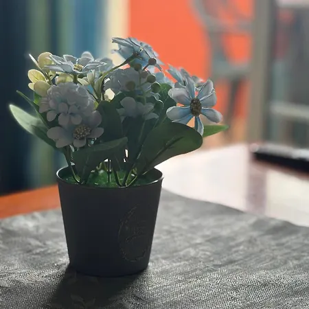 Prime Americas Getaway - With Huge Private Terrace & Pool Access *